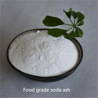 Carbonato de sódio branco higroscópico para produtos farmacêuticos